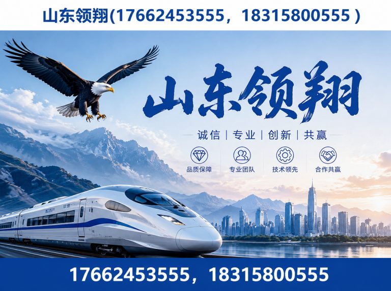 定安山东领翔展示图